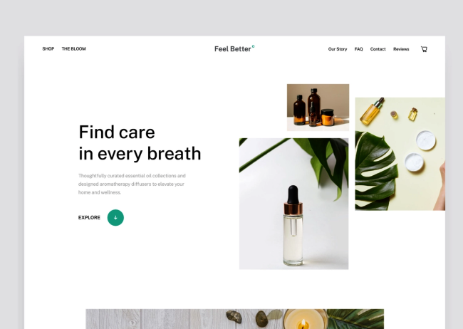 the bloom shop web design